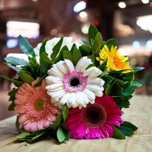Gerbera - Wholesale Box