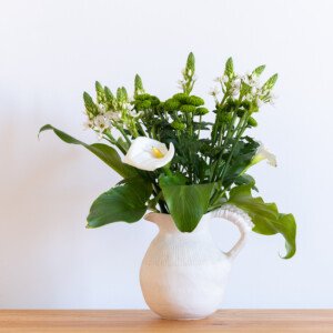 Calla Lily - Wholesale Box