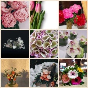 A selection of flowers to choose from: roses, tulips, peonies, lilies, hydrangeas, orchids, ranunculus, carnations and gerberas